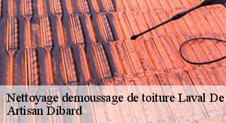 Nettoyage demoussage de toiture