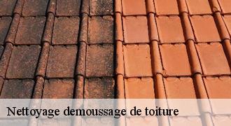 Nettoyage demoussage de toiture