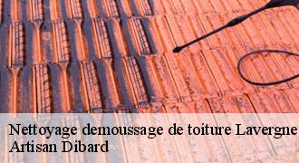 Nettoyage demoussage de toiture