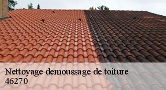 Nettoyage demoussage de toiture