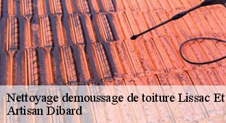 Nettoyage demoussage de toiture