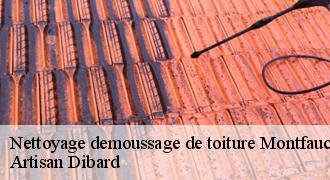 Nettoyage demoussage de toiture