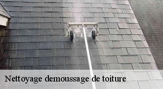 Nettoyage demoussage de toiture