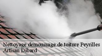 Nettoyage demoussage de toiture