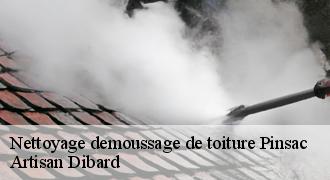 Nettoyage demoussage de toiture