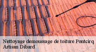 Nettoyage demoussage de toiture
