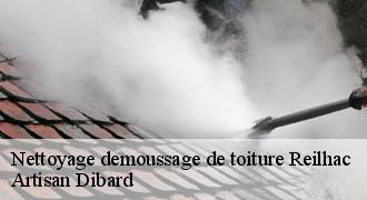 Nettoyage demoussage de toiture