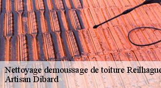 Nettoyage demoussage de toiture