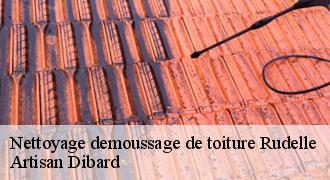 Nettoyage demoussage de toiture