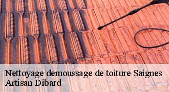 Nettoyage demoussage de toiture