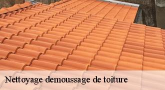 Nettoyage demoussage de toiture
