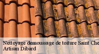 Nettoyage demoussage de toiture