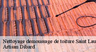Nettoyage demoussage de toiture