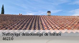 Nettoyage demoussage de toiture