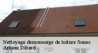Nettoyage demoussage de toiture
