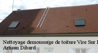 Nettoyage demoussage de toiture