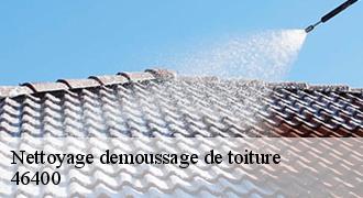 Nettoyage demoussage de toiture