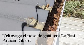 Nettoyage et pose de gouttière