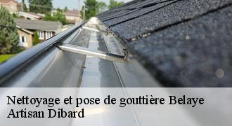 Nettoyage et pose de gouttière