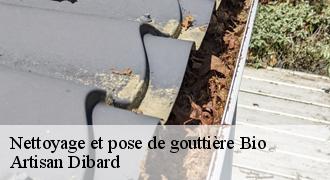 Nettoyage et pose de gouttière