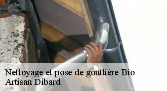 Nettoyage et pose de gouttière