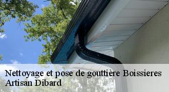 Nettoyage et pose de gouttière