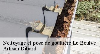 Nettoyage et pose de gouttière