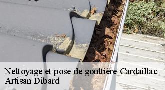 Nettoyage et pose de gouttière