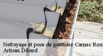 Nettoyage et pose de gouttière