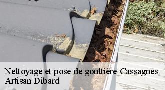 Nettoyage et pose de gouttière
