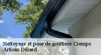 Nettoyage et pose de gouttière