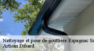 Nettoyage et pose de gouttière