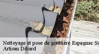 Nettoyage et pose de gouttière