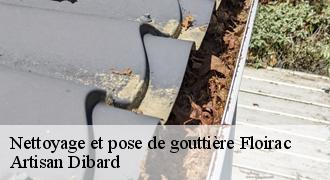 Nettoyage et pose de gouttière