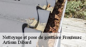Nettoyage et pose de gouttière