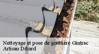 Nettoyage et pose de gouttière