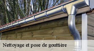 Nettoyage et pose de gouttière