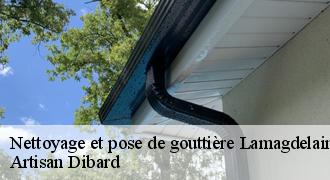 Nettoyage et pose de gouttière