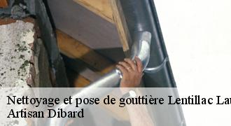 Nettoyage et pose de gouttière