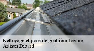 Nettoyage et pose de gouttière