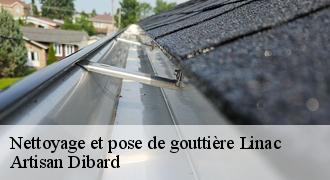 Nettoyage et pose de gouttière