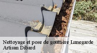 Nettoyage et pose de gouttière
