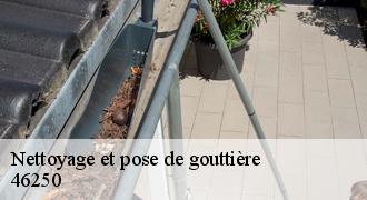 Nettoyage et pose de gouttière