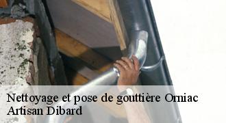 Nettoyage et pose de gouttière