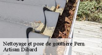 Nettoyage et pose de gouttière