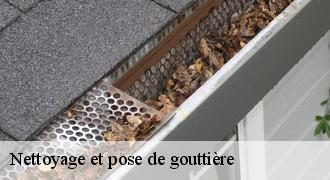 Nettoyage et pose de gouttière