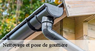 Nettoyage et pose de gouttière