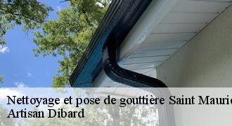 Nettoyage et pose de gouttière