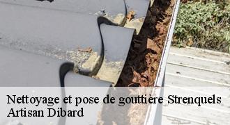 Nettoyage et pose de gouttière