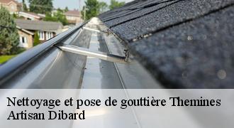 Nettoyage et pose de gouttière